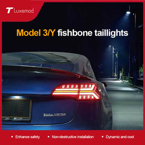Fishbone Rücklichter für Tesla Model 3/Y