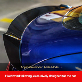 Kleiner Stoßfänger für Tesla Model 3 (Frontlippe, Seitenschweller, Hecklippe, Heckspoiler)
