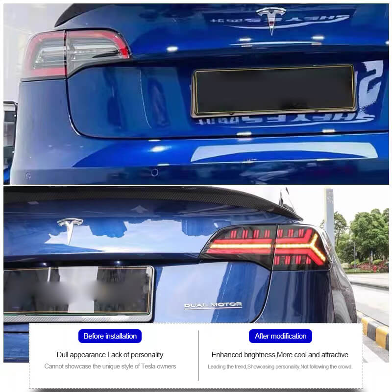 Fishbone Rücklichter für Tesla Model 3/Y